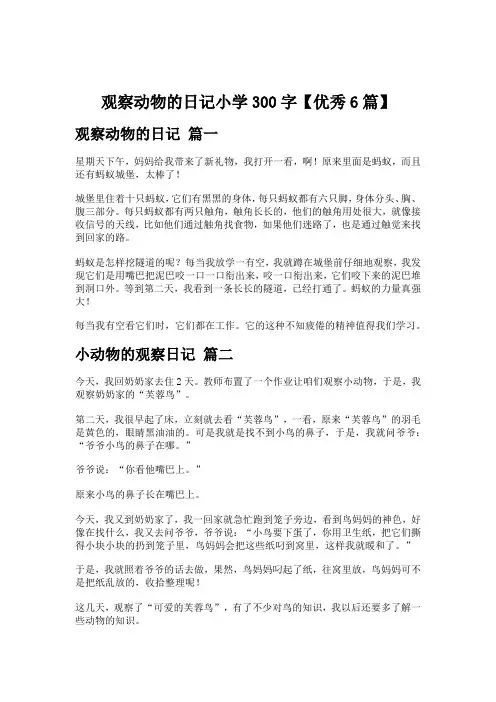 观察动物的日记小学300字【优秀6篇】