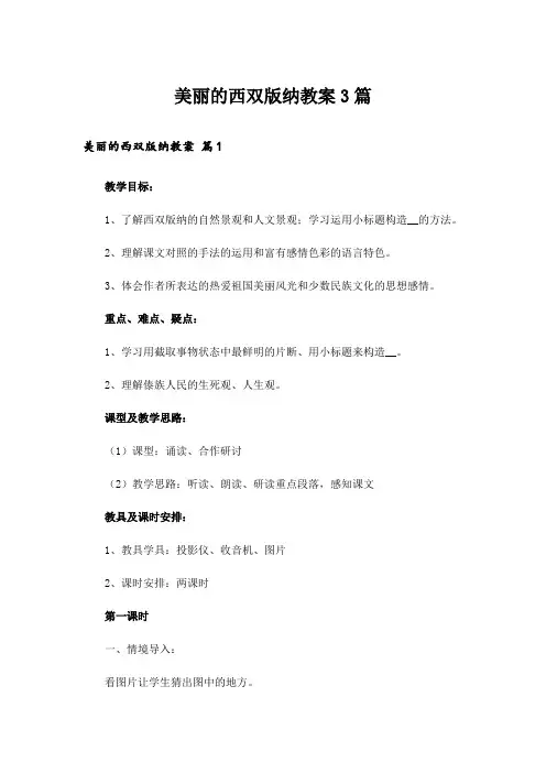 美丽的西双版纳教案3篇