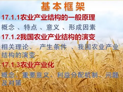 农业经济学(农业产业化与产业结构)