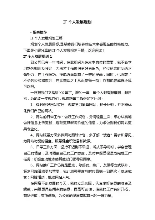 IT个人发展规划