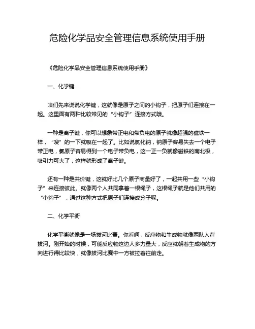 危险化学品安全管理信息系统使用手册