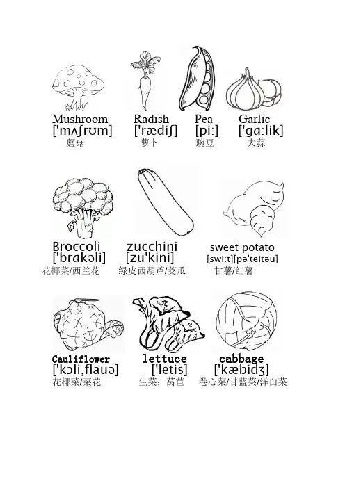 关于英语宝宝.蔬菜英语单词