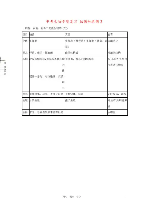 中考生物专题复习 细菌和真菌2