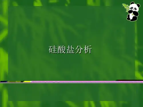 硅酸盐分析