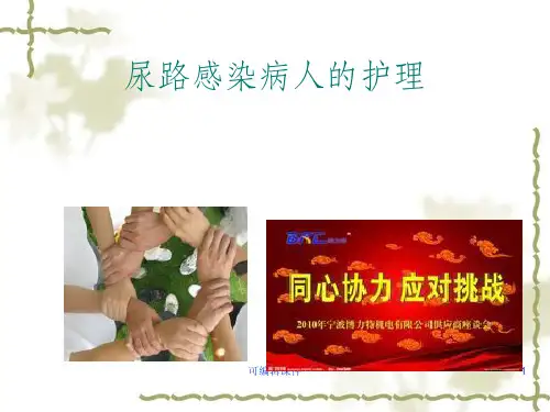 急性肾盂肾炎护理PPT课件
