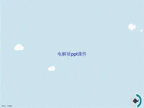 电解质ppt讲课文档