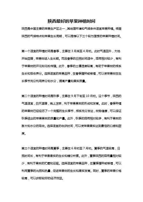 陕西最好的苹果种植时间