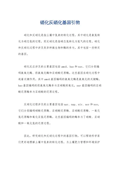 硝化反硝化基因引物