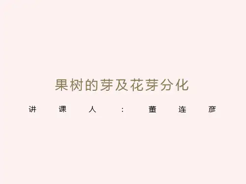 果树的芽及花芽分化