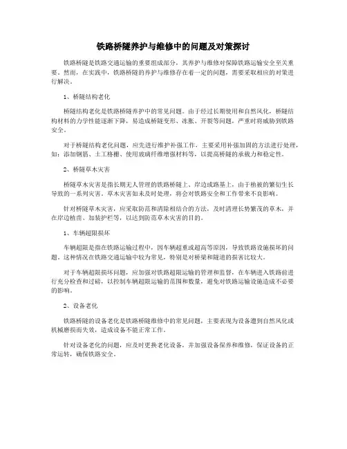 铁路桥隧养护与维修中的问题及对策探讨