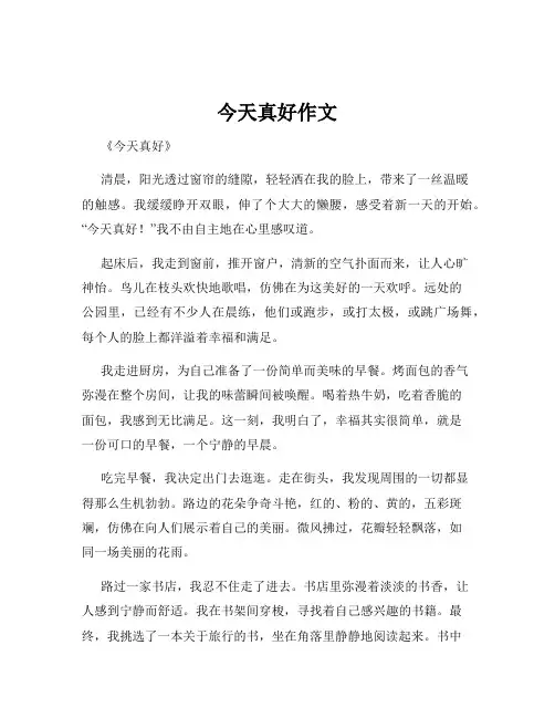 今天真好作文