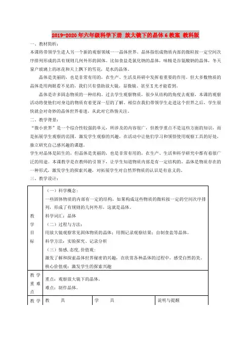 2019-2020年六年级科学下册 放大镜下的晶体6教案 教科版