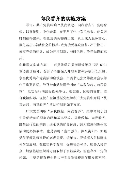 向我看齐的实施方案