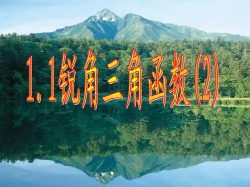 锐角三角函数(3)(优秀)
