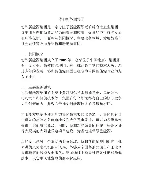 协和新能源集团