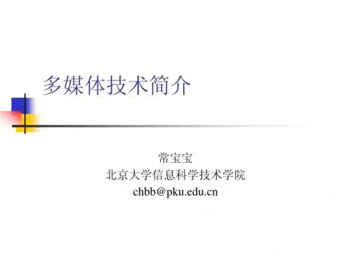 多媒体技术简介