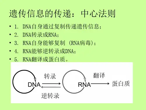 遗传学第十二章表观遗传学精选课件.ppt