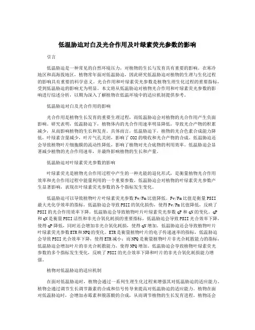 低温胁迫对白及光合作用及叶绿素荧光参数的影响