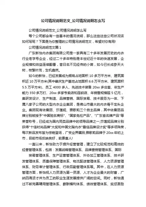 公司情况说明范文_公司情况说明怎么写