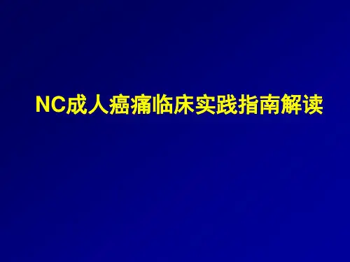 成人癌痛指南课件最新版