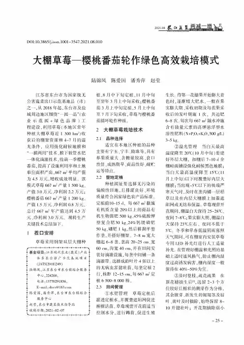 大棚草莓—樱桃番茄轮作绿色高效栽培模式