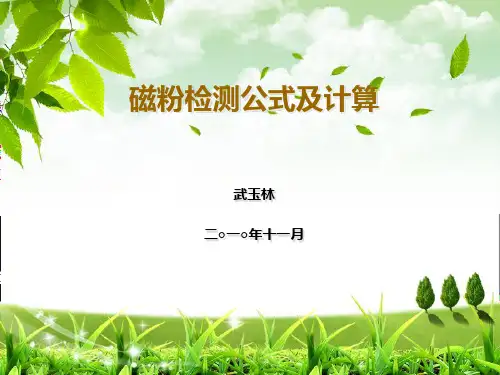 磁粉检测公式及计算2010