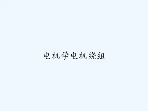 电机学电机绕组 PPT