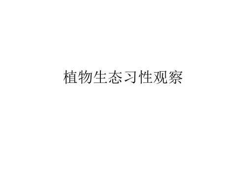 植物生态习性观察