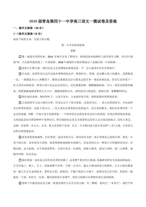 2020届青岛第四十一中学高三语文一模试卷及答案