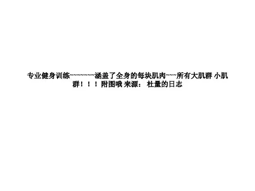 健身课件培训课件