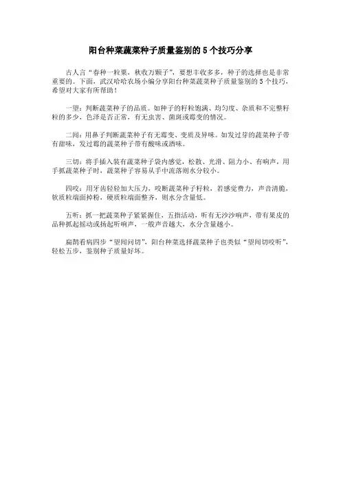 阳台种菜蔬菜种子质量鉴别的5个技巧分享