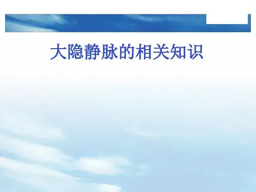 大隐静脉ppt课件