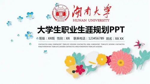 湖南大学职业生涯规划完整框架ppt模板