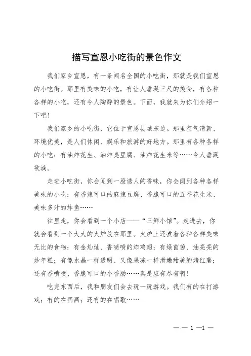 描写宣恩小吃街的景色作文