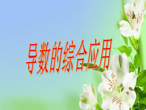 导数应用综合112张PPT北师大版选修22