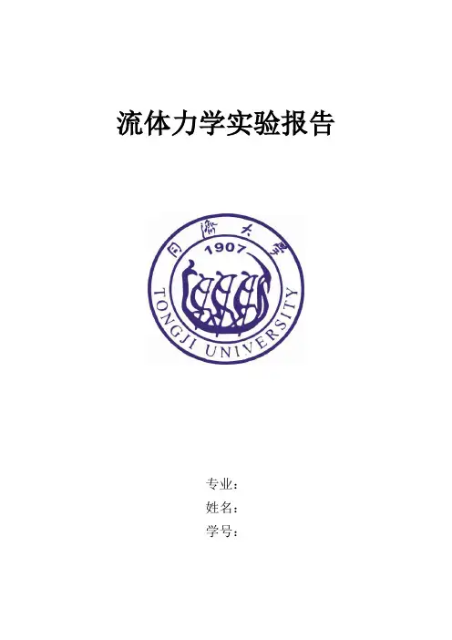 流体力学实验报告模板