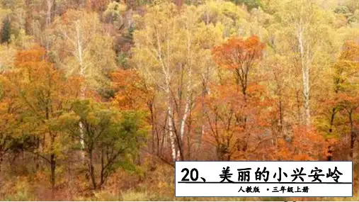 三年级语文上册第6单元20美丽的小兴安岭第1课时课件新人教版(1)