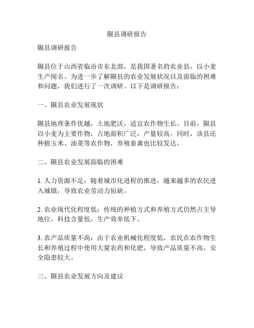 隰县调研报告