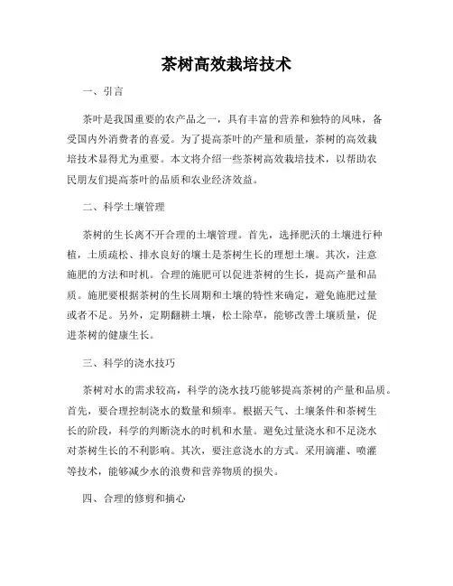 茶树高效栽培技术