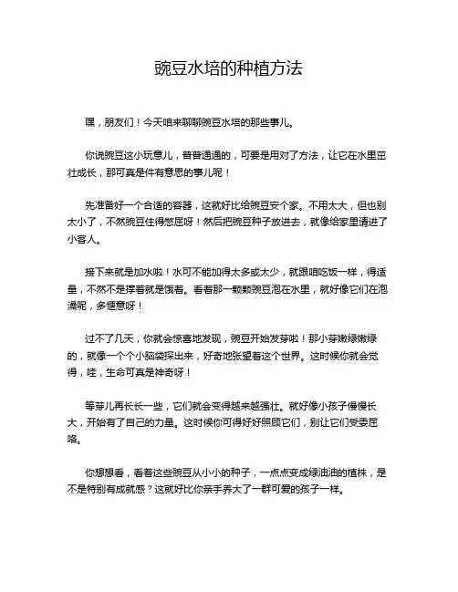 豌豆水培的种植方法