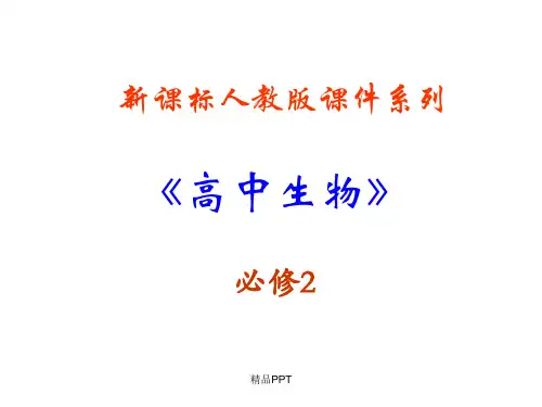 人教版高中生物必修2第4章 基因的表达第3节 遗传密码的破译(选学)课件(5)