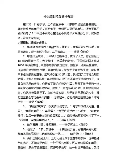 小说精彩片段摘抄分享
