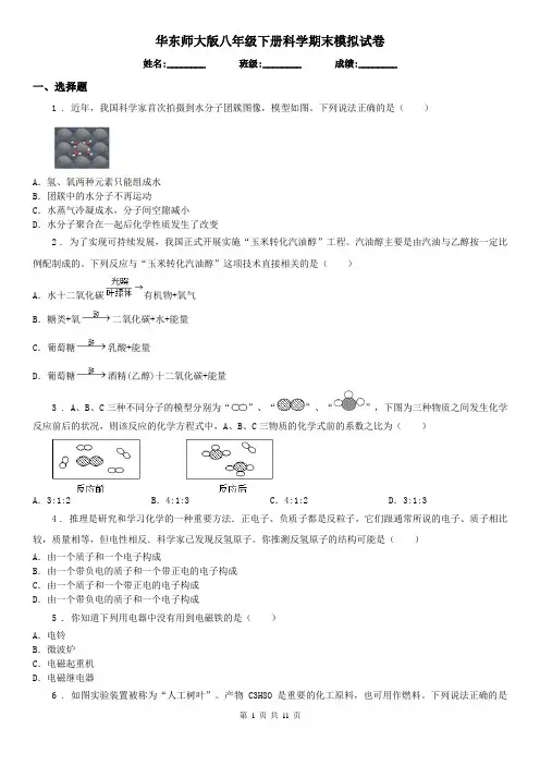 华东师大版八年级下册科学期末模拟试卷