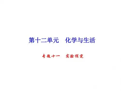 九年级化学下册 第12单元 专题十一 实验探究课件 新人教版