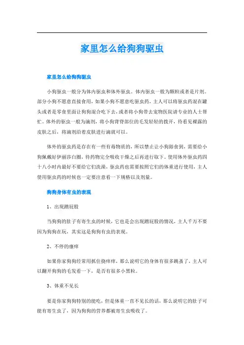 家里怎么给狗狗驱虫