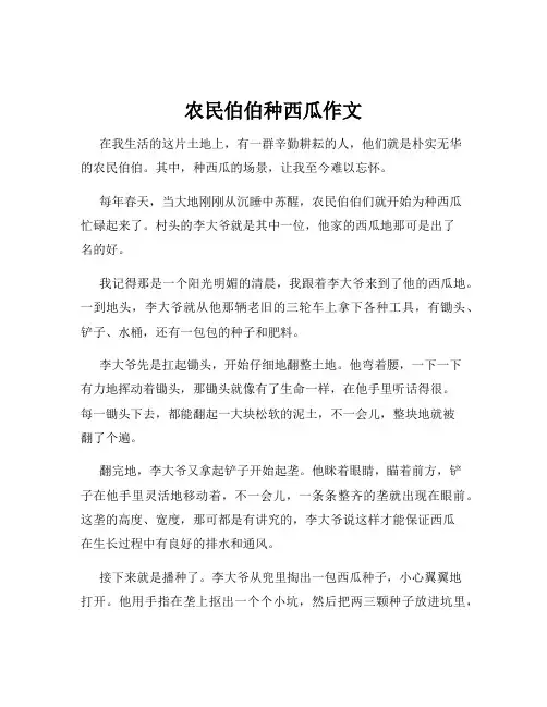 农民伯伯种西瓜作文