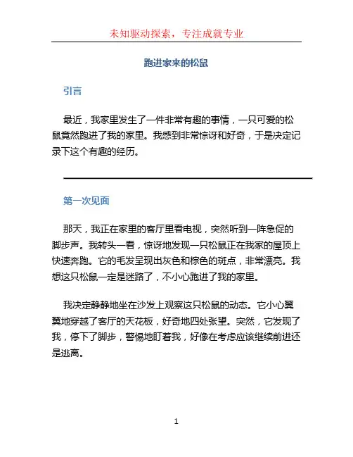 跑进家来的松鼠