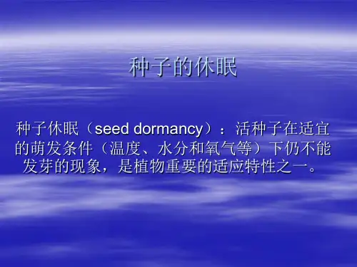 种子的休眠