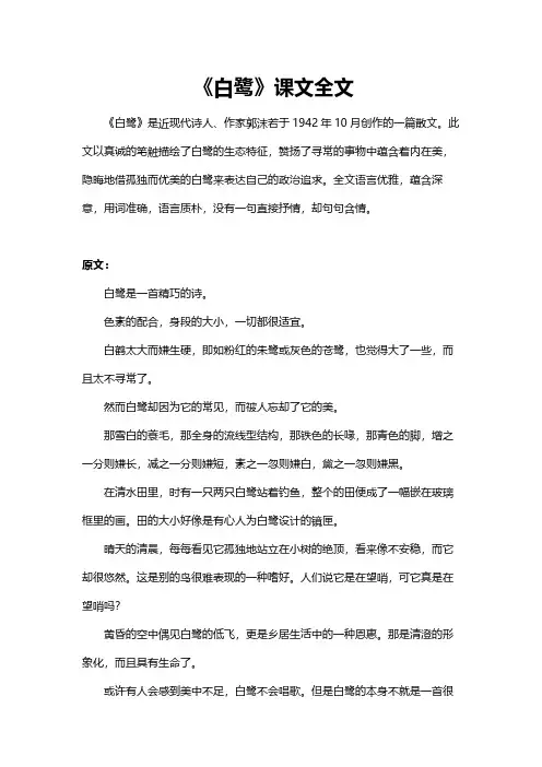 白鹭的课文全文