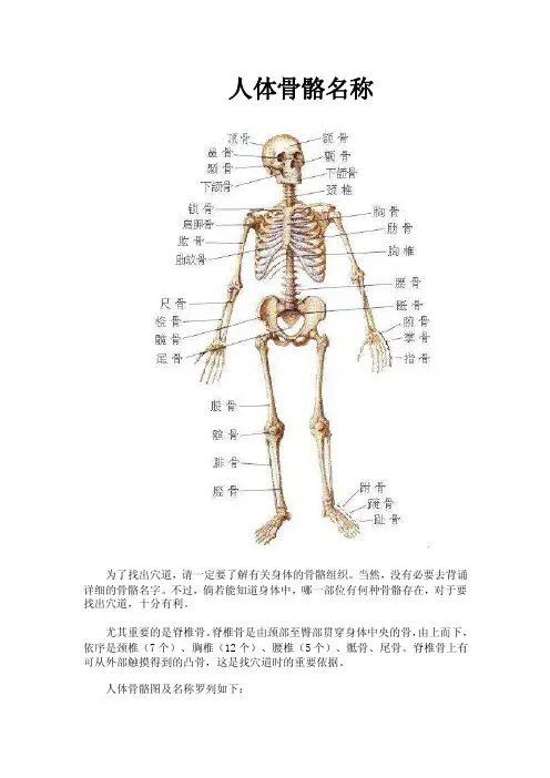 【2017年整理】人体骨骼名称